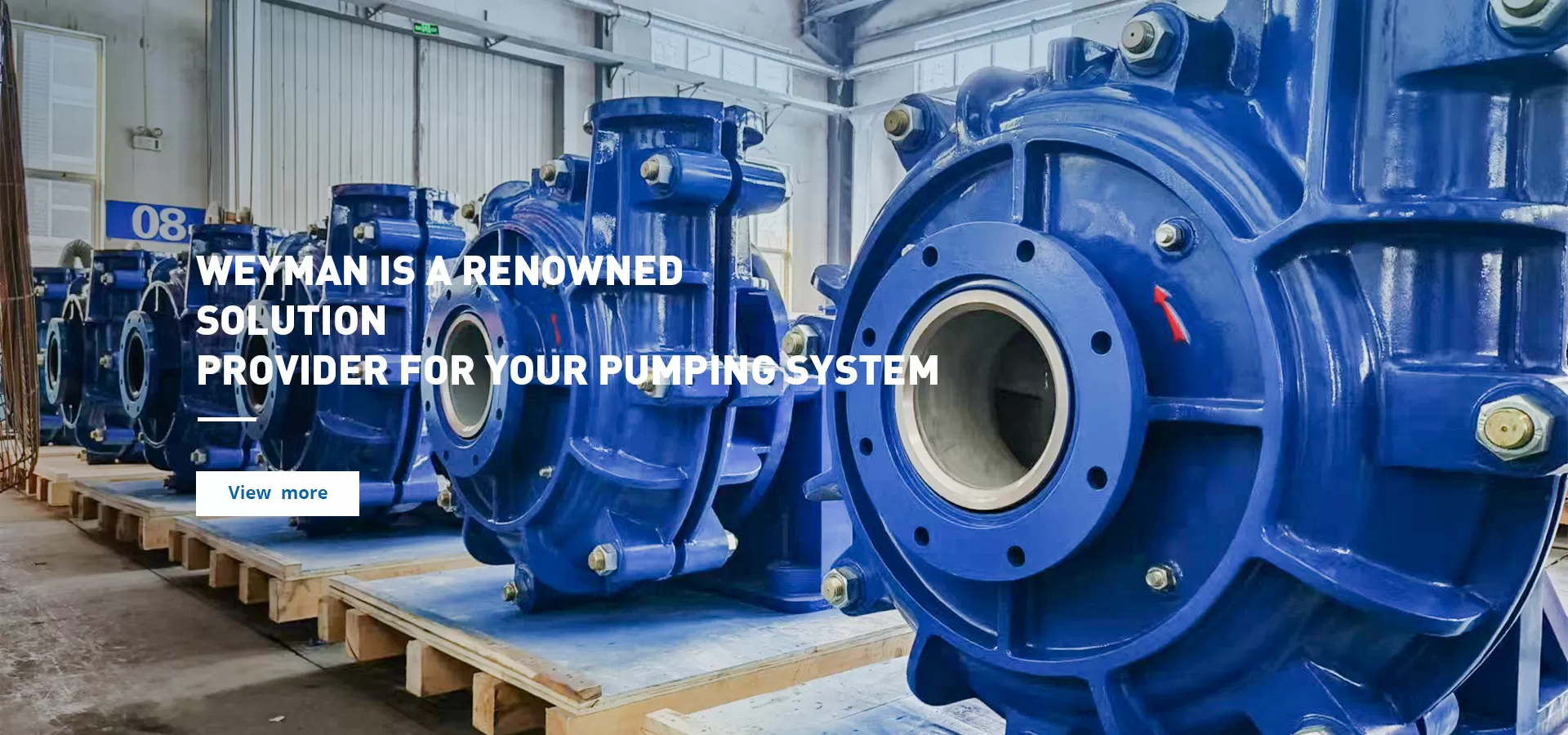 Slurry Pumps