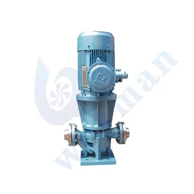 MG Magnetic Driven Pump