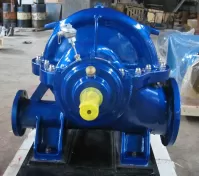 BB1 Pump - SHD/DSH Model